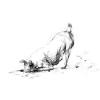 Shop for dog statues in garden statues. 1