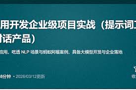 大模型AI应用开发企业级项目实战（提示词工程+大模型NLP应用+AI ...