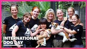 International dog day was founded in 2004 by colleen paige, an advocate for animals and an expert on pet and family lifestyle. International Dog Day August 26