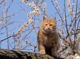 Відповідно до статті 73 кодексу законів про працю на підприємствах, в установах, організаціях робота не. Vihidni Dni V Travni 2020 Yak Vidpochivayemo 1 Go Travnya Vihidnij Den Praci Unian