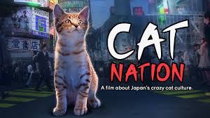 A tribe of cats called the jellicles must decide yearly which one will ascend to the heaviside layer and come back to a new jellicle life. Watch Kedi Prime Video