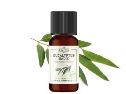 Par exemple, pour apaiser les symptômes d'une bronchite, ou d'une toux grasse, il est possible de diluer. Huile Essentielle Eucalyptus Radie Bio Radiata 10 Ml Terraia Onatera Com
