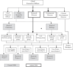 organization chart showing key capability areas of avertical