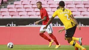 Benfica Squad List Farense Match Liga Nos Sl Benfica