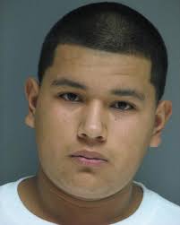 Elsmere Bureau of Police 2016 Annual Report Chief Laura M. Giles