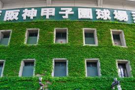 有关历史、生物、科技、人文、地理、生活等所有话题。 not a satire/meme sub, english speakers please refer to rule 7. Puwl2 Fzukqhdm