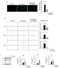 You'll get a good deal on leading capsule coffee machine brands including nespresso, lavazza, nescafe and more, making your morning coffee fix. Antioxidants Special Issue Antioxidant Activity Of Polyphenolic Food And Human Health