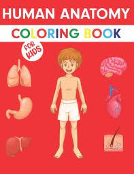 Download Human Anatomy Coloring Book For Kids Human Anatomy Coloring Book For Kids Human Body Coloring Activity Book For Kids Human Body Anatomy Coloring Paperback Brain Lair Books