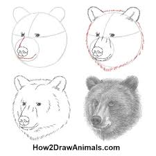 Let's draw the head first. Grizzly Bear Drawing In Graphite Pencil Grizzlybear Art Graphitepencil Animalart Bear Drawing Bear Sketch Grizzly Bear Drawing