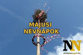Az adatbázis kutyanévanpokat és macskanévnapokat is tartalmaz. Majusi Nevnapok Calm Artwork Keep Calm Artwork Calm