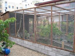 Bird Aviary Building Plans Bird Aviary Aviary Backyard Birds