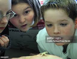 11 Ck Burns School Stock Photos, High-Res Pictures, and Images