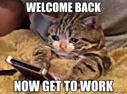 Don't worry you will know all your students names by december! Ultimate Funny Memes Worldwide Collection Memezila Com