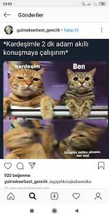 Aa Ayni Biz Adads Komik Seyler Gulunc Resimler Komik Capsler