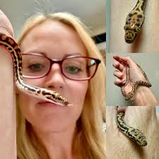 West Coast Pet Sitting