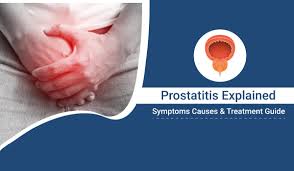 Image result for Prostatitis General Measures