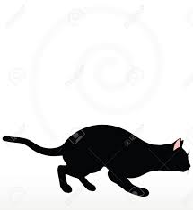 Image result for cartoon cat stalking another cat