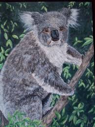 12 X 16 Acrylic Painted Koala Bear Lone Pine Koala Sanctuary Koala Bear Koala