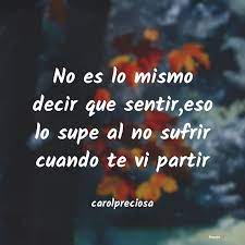 Carolpreciosa No Es Lo Mismo Decir Que Senti