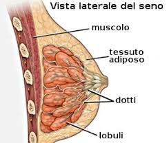 Alla 9 settimana di gravidanza nausea e stanchezza sono ancora presenti e la grandezza dell'utero può rendere scomodi i tuoi jeans. 34 Settimane Di Pressione Pelvica Incinta E Dolore Quando Si Cammina Settimane Su Gravidanza Tutti I Cambiamenti Settimana Su Settimana