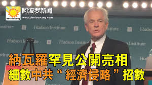 Image result for 納瓦羅