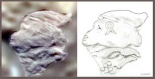 Astonishing Human Heads Do Satellite Photographs Now Prove Existence Of Humans On Antarctica 6000 Years Ago Part I Ancient Humans Antarctica Ancient Maps