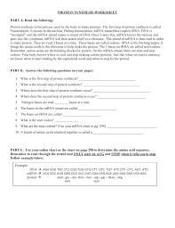 Protein Synthesis Worksheet