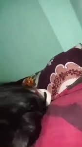 Bengali Couple Having Fun ft. Desi Hot Girl by Desi Sex Videos Viral:  Indian, Desi, Missionary, Pussy, Nude Porn | Faphouse