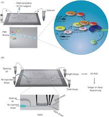Получите лучшие скины за копейки. A Mix And Read Drop Based In Vitro Two Hybrid Method For Screening High Affinity Peptide Binders Scientific Reports