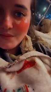 Cute dog enjoying fresh air and favorite show