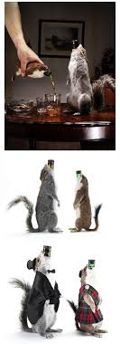 End Of History Ale No Rules No Shame Inside the world taxidermy championships. no rules no shame wordpress com