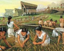 Image of Early agriculture