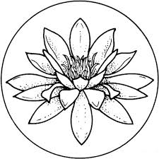 Lily Pad Coloring Page Free Lilies Drawing Water Lily Drawing Flower Drawing