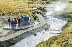 Know that they're hard to find. The Ultimate 4 Days In Iceland Itinerary Iceland Trippers