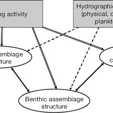 Yew & co 80 wan nadzir & co. Illustration Of The Complexity Of Interactions Between Trawling Impacts Download Scientific Diagram