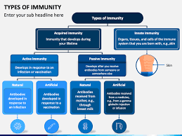 This is a direct result of the active immune system. Types Of Immunity Powerpoint Template Ppt Slides Sketchbubble