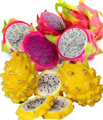 It can be picked and eaten raw right off the plant; Colorful Red And Green Cactus Fruit With White Flesh Spotted With Tiny Black Seeds Similar In Texture To A Kiwifruit While The Dragon Fruit Fruit Kiwi Fruit