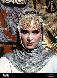 Dale Shields's Instagram, Twitter & Facebook