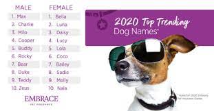 Some common advice we've seen includes. Top Dogs Popular Dog Names And Claims