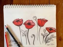 Avengers pencil drawing drawings sketch hulk marvel yin yuming artwork draw movie avangers heroes team cool super heros superheroes character Poppy Flower Drawing With Colored Pencils Naphtali Johnson Nj Art 2 4 2014 Poppy Flower Drawing Floral Drawing Poppy Drawing