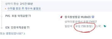 블라블라: 항공사형님들, 보잉738과 보잉737-800은 같은 기종인가요 ...