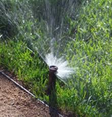 Remove the sod or patch of grass around the head carefully so that it can be replaced later. Finding Sprinkler Heads And Valves With A Metal Detector The Ultimate Guide