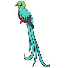 This quetzal coloring and printable page is free and available to print and color it. Quetzal Vector Images Over 220