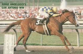 奇跡の名馬』著者【海猫】兼目和明 〜世界名馬研究・馬民俗学研究家の記録譚〜 on X: 【世界名馬紹介】 ／ 〝ジャッジアンジェルーチ〟🇺🇸 ＼  生年：1983年 性別：牡馬 毛色：栗毛 生涯成績：22戦10勝 ［10-4-2-6] 3歳になってからの遅れたデビューで 古馬になってから ...