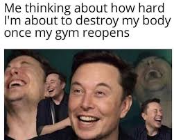 luna murga (lunamurga)