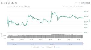 Bitcoin prices carve out fresh records on wednesday but where the cryptocurrency heads from here is an in our opinion, unless bitcoin volatility subsides quickly from here, its current price of $48,000 gamestop and amc overcame rocky starts to the trading day as comments on social media surged. Bitcoin Sv Bsv Price Prediction For 2020 2030 Stormgain