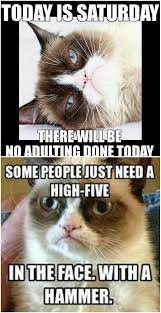 Just Read Out These Top 20 Grumpy Cat Memes School And Get Some Refreshment Memes Funnymemes Funny Grumpy Cat Memes Grumpy Cat Humor Grumpy Cat
