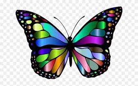 Also for mobile and tablet. Report Abuse Colorful Butterfly Wallpaper Hd Free Transparent Png Clipart Images Download