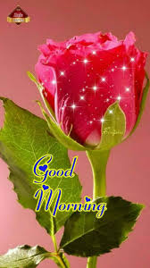 Find daily updated best good morning photos from around the world. Aboutme Good Morning Video Download Tamil Sharechat