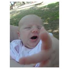 Ingrid Morton Photography